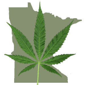 Minnesota map and marijuana leaf