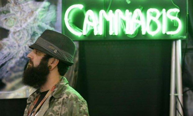 Image of cannabis business owner