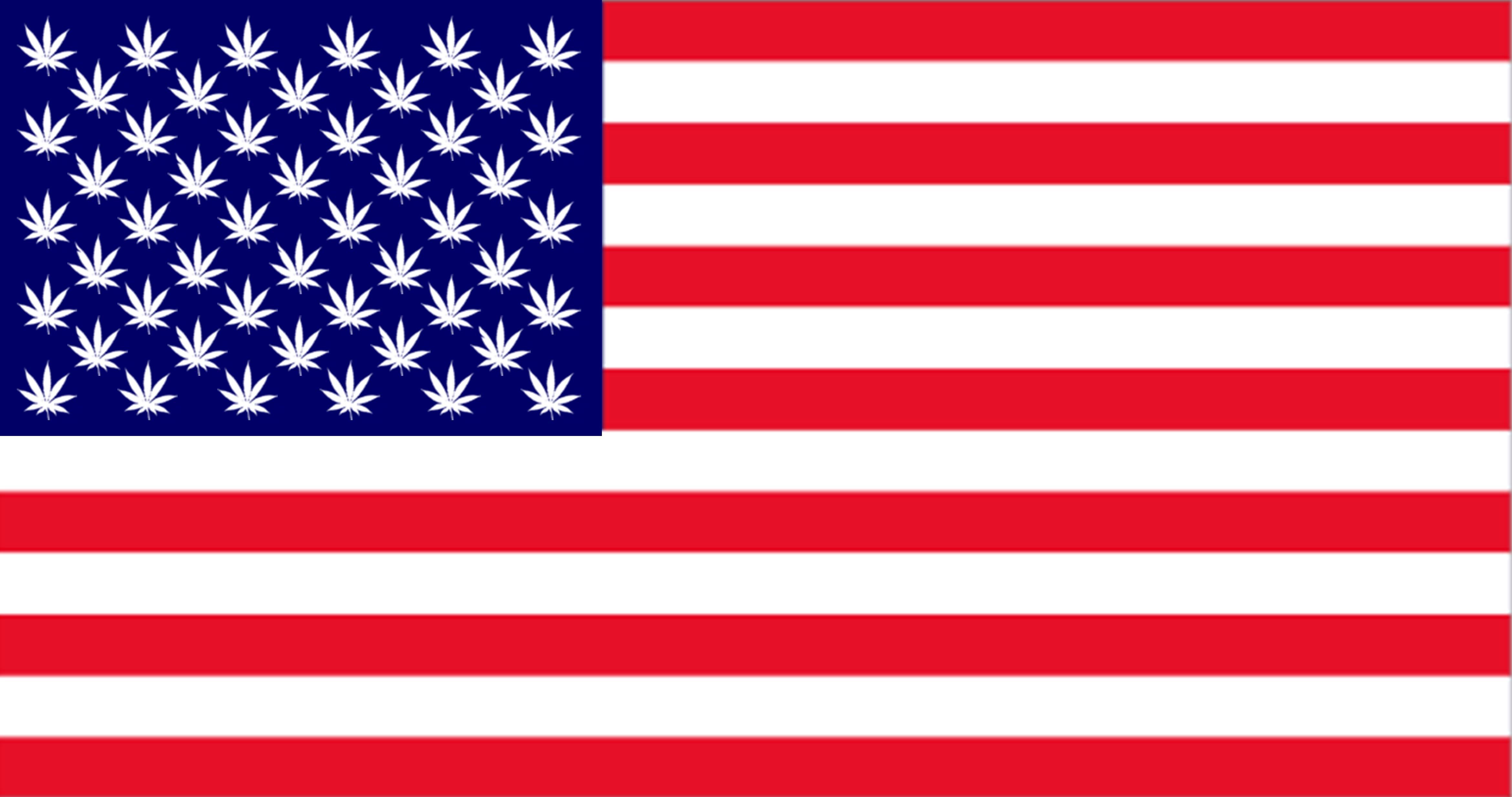 Image of US flag with pot leaves rather than stars