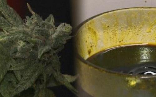 Marijuana is used to make cannabidiol oil, which is used for medical purposes in the states that allow it. Image:  WXIA-TV, Atlanta