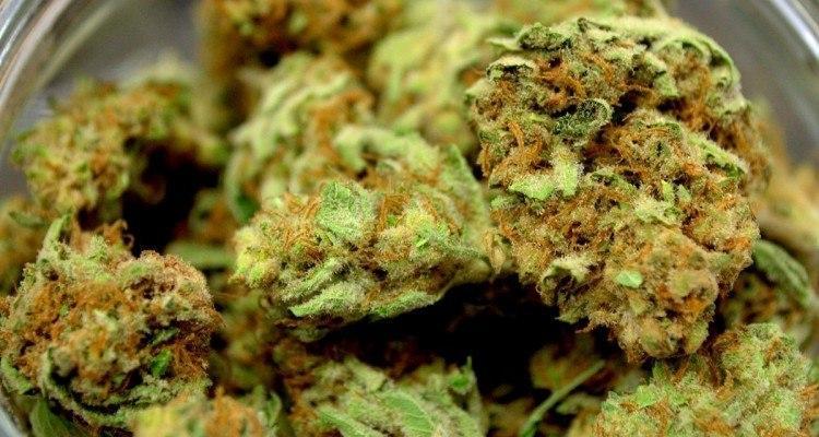 Image of legal marijuana in Denver