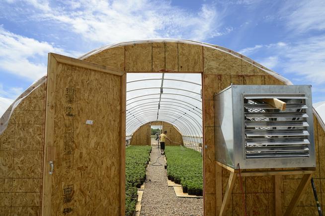 Image of a Colorado hemp green house