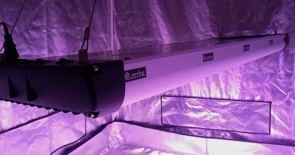 An Errba COAS™ (Cannabis Optimal Absorption Spectrum) LED panel. Image via Errba Spectrum