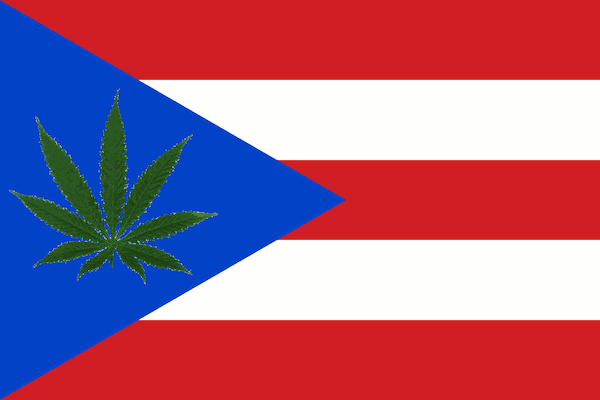Marijuana legalization in Puerto Rico logo