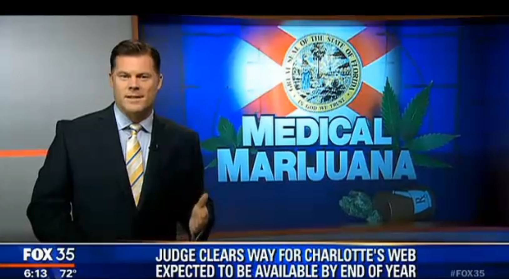 Image of Florida news screen shot about medical marijuana legalization
