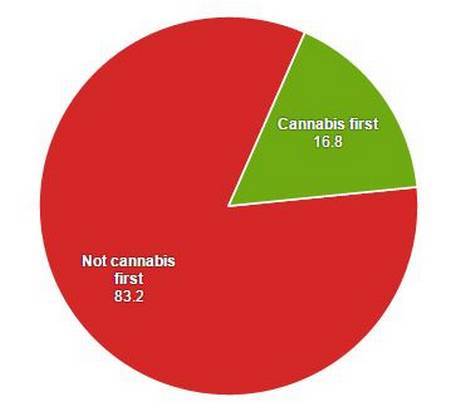 Image of a Pie Chart showing 83.2% of people did not use cannabis before using other drugs