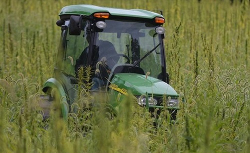 In a surprise reversal, Pennsylvania throws door wide open for industrial hemp production - Cannabis News