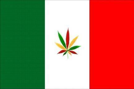 Image of Italian marijuana legalization logo