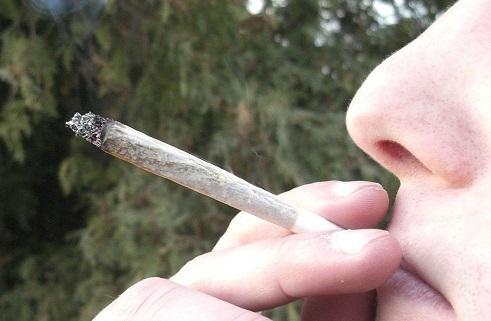 Marijuana Use Among College Students Rising Fast - Cannabis News