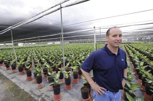 Jose “Joche” Smith, chief executive at Costa Farms, in a shade house containing thousands of indoor plants in May 2011. Image: Daniel Bock for the Miami Herald