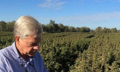 Hemp Comes Home to the Bluegrass State - Cannabis News