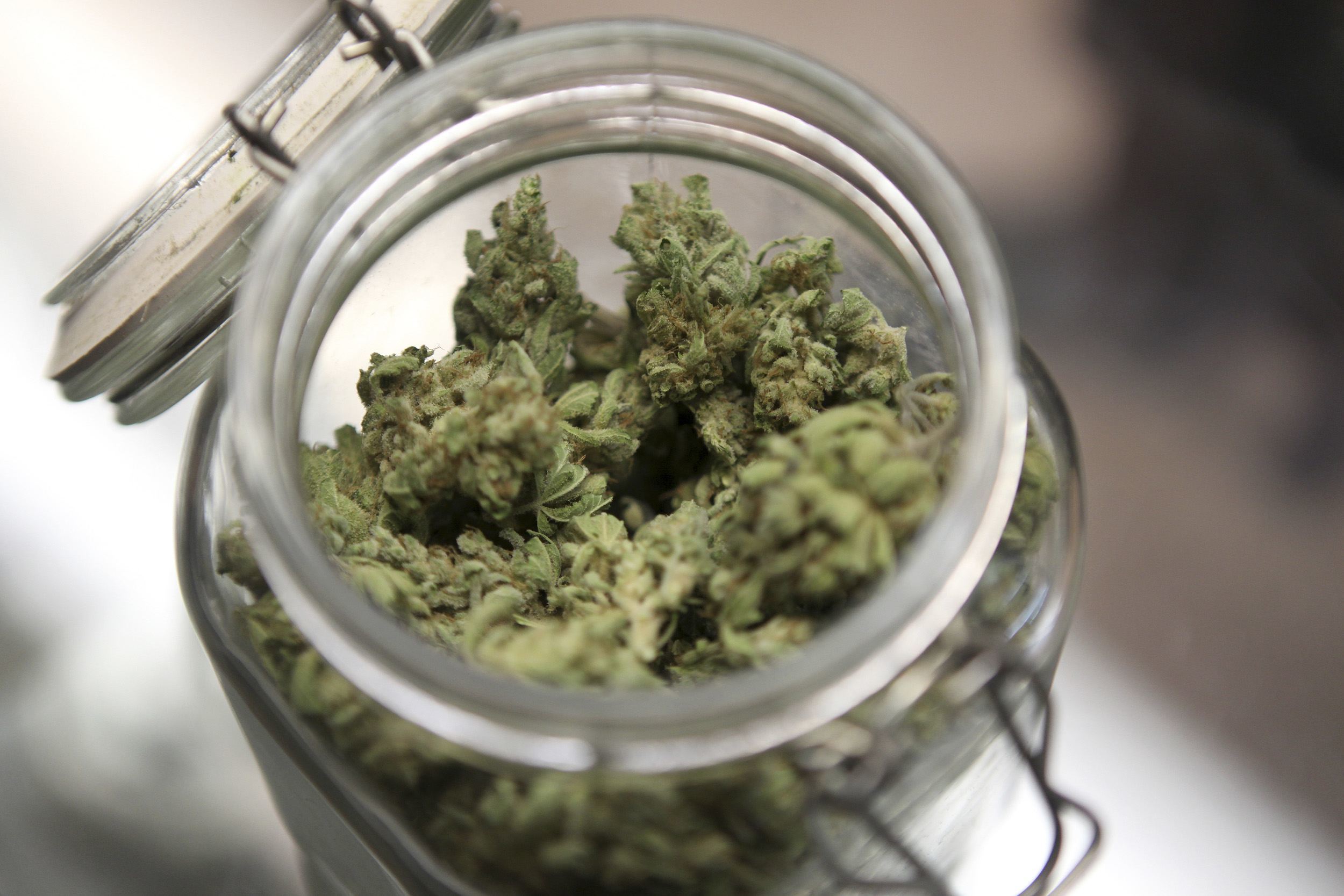 Image of medical marijuana in a stash jar.