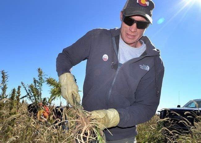 Image of hemp farmer Ryan Loflin, Springfield Colorado