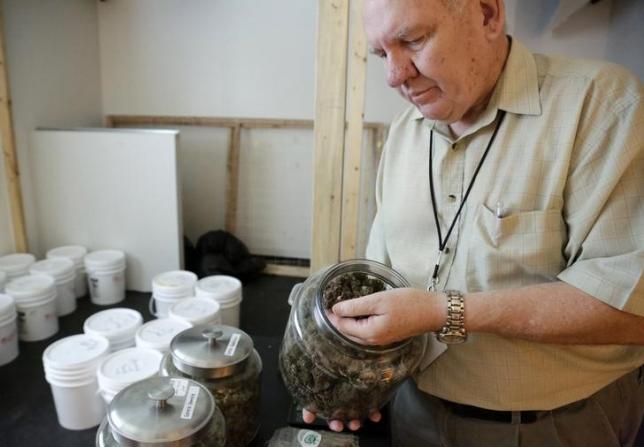 Bob Leeds, co-owner of Sea of Green Farms, shows some of the marijuana he produces during a tour of his growing operation in Seattle, Washington June 30, 2014. (Reuters/Jason Redmond)