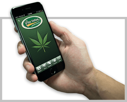 Image of The Grass Station's Mobile App for easy marijuana dispensary use