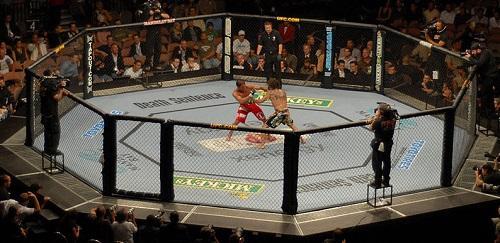 File of UFC bout. Image: Lee Brimelow via Wikimedia Commons 