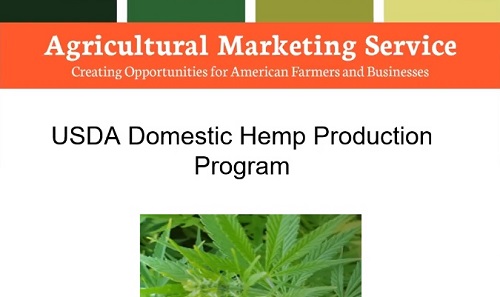 USDA Releases Video Explainer On Its Draft Rules For Hemp - Cannabis News